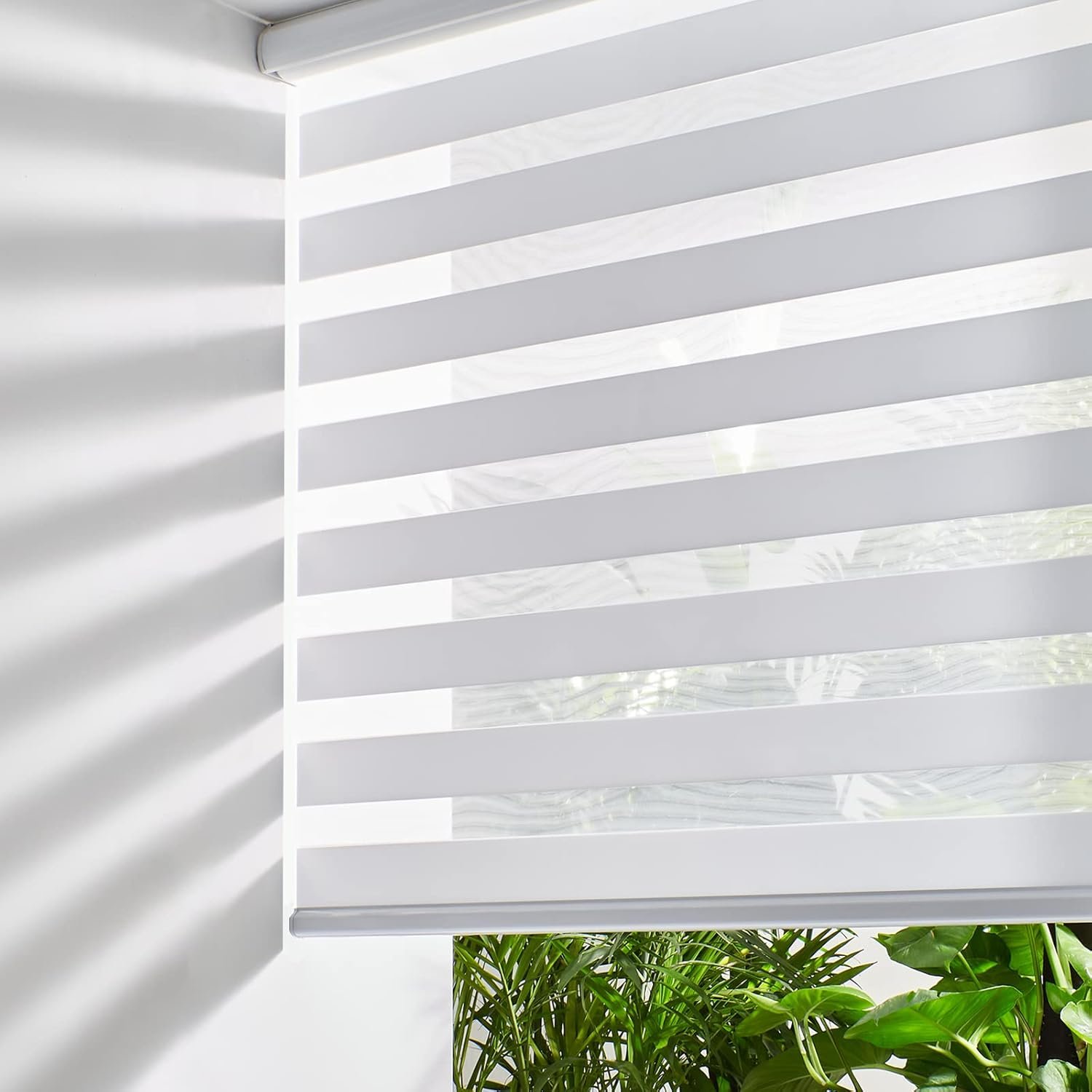 horizontal blinds