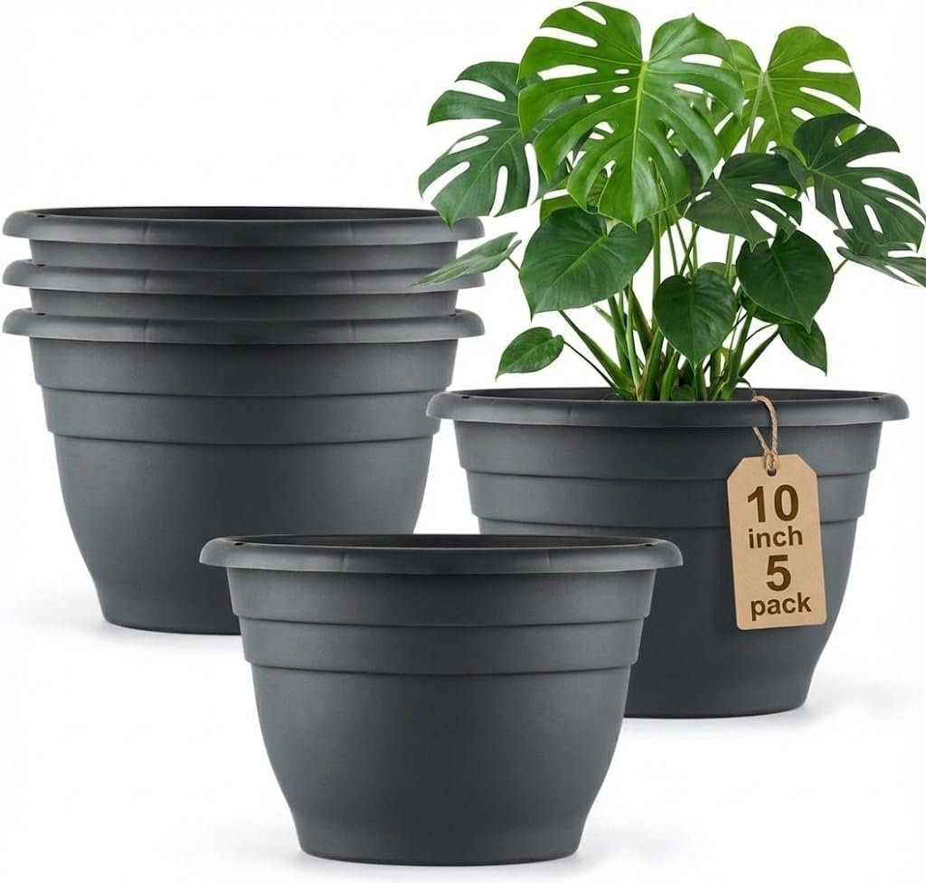 Amazon Basics Plastic Planters