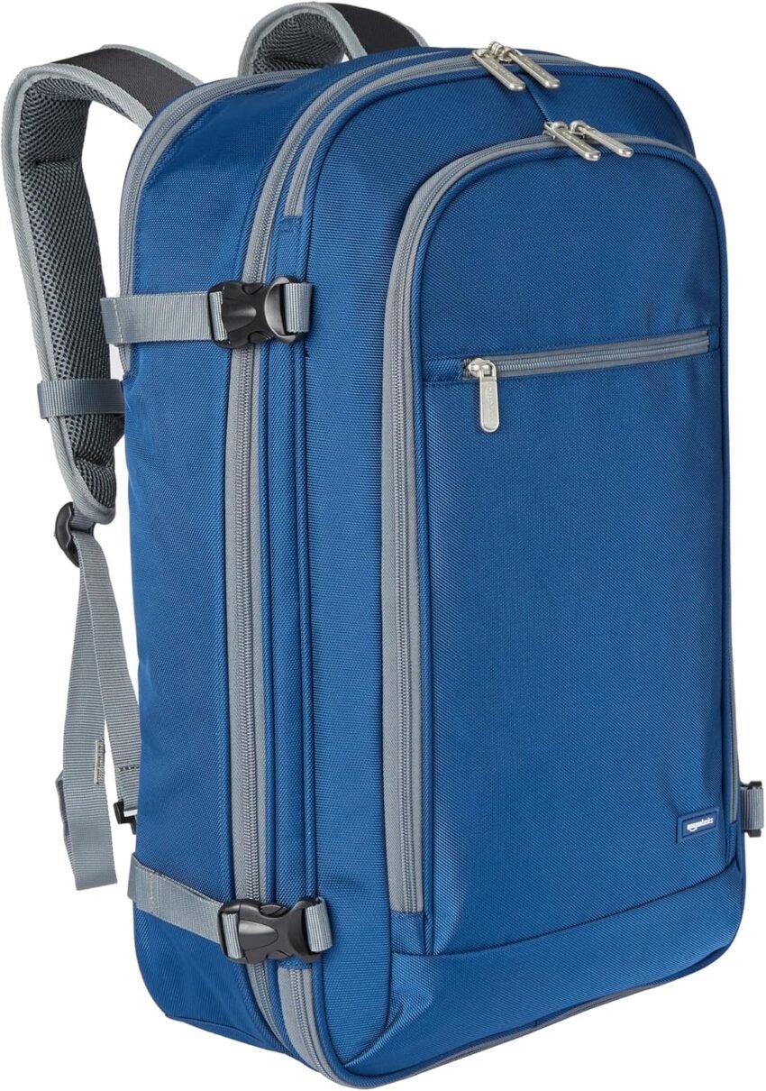 Amazon Basics Travel Backpacks