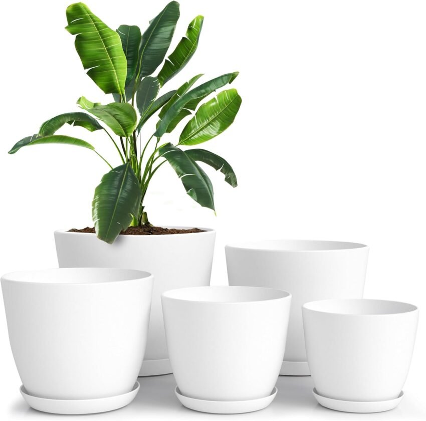 Amazon Basics Plastic Planters