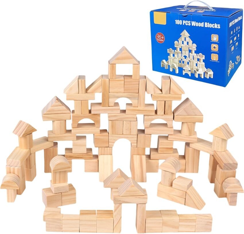 Amazon Basics Wooden Building Blocks