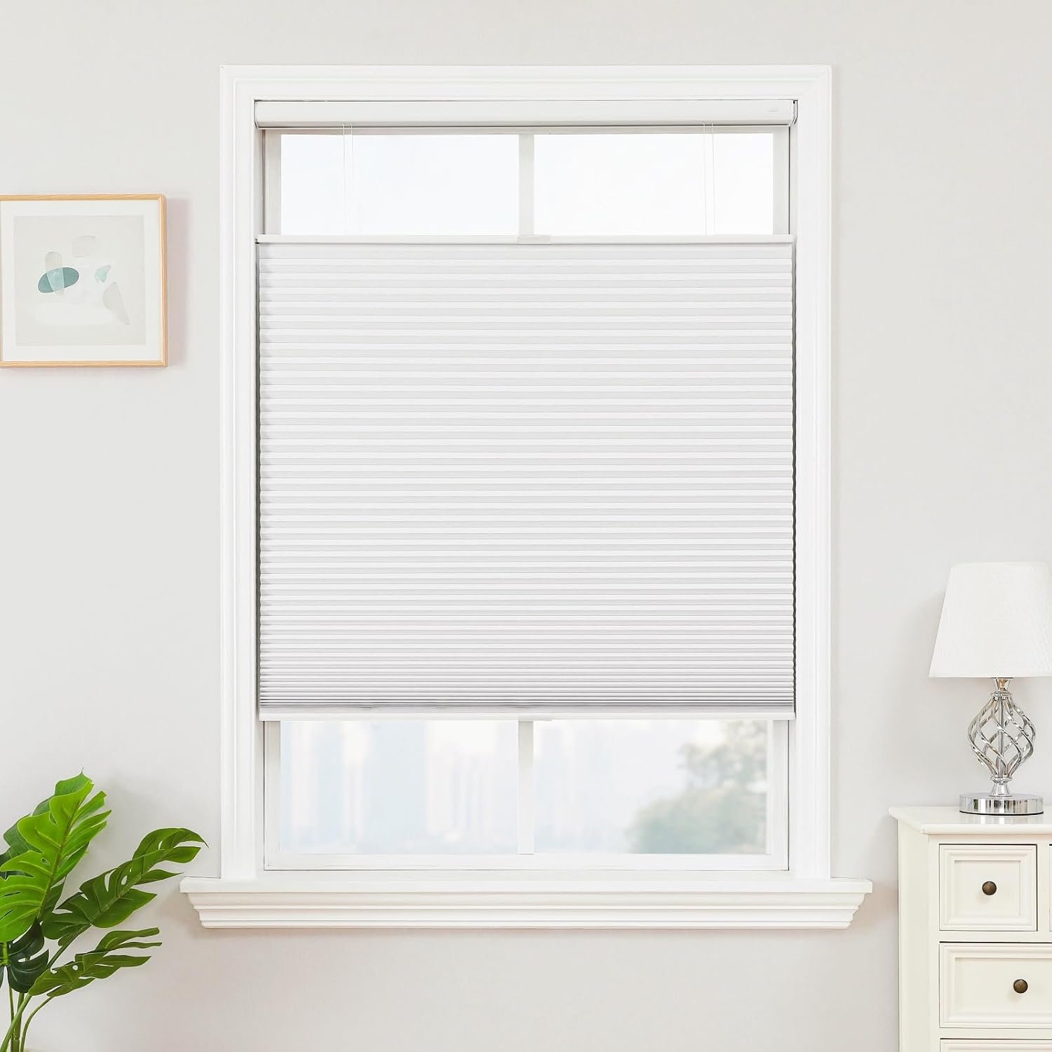 cellular shades