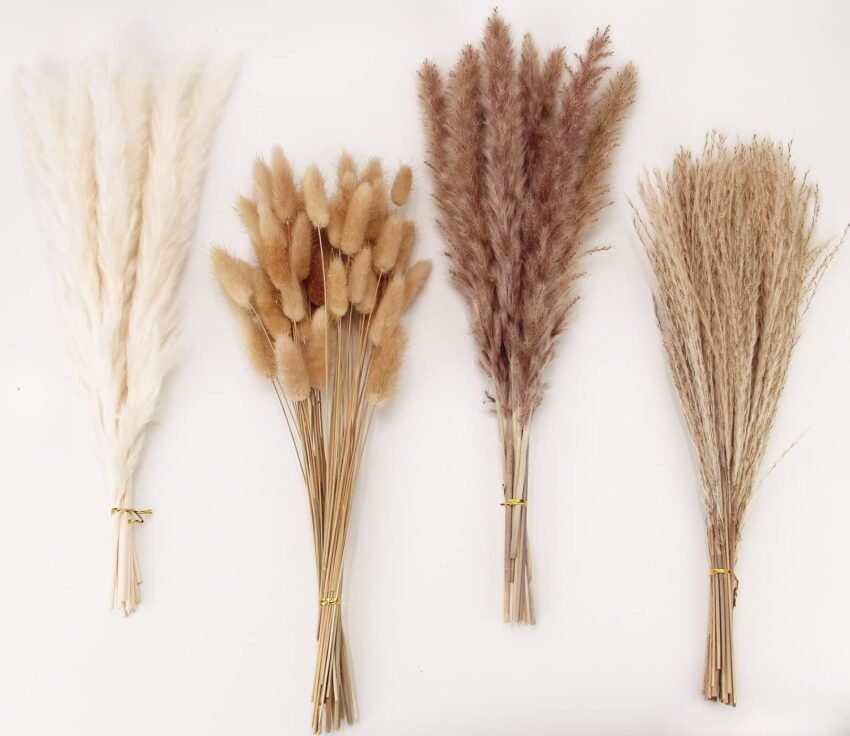 vases decor accessories
