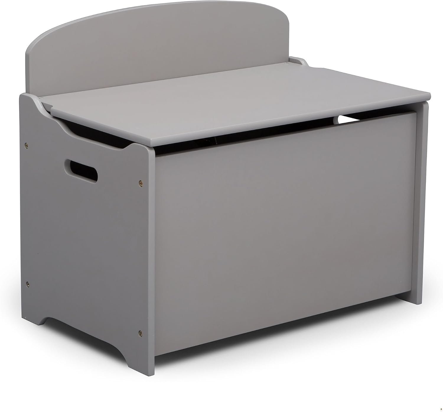 Amazon Basics Toy Storage Chests