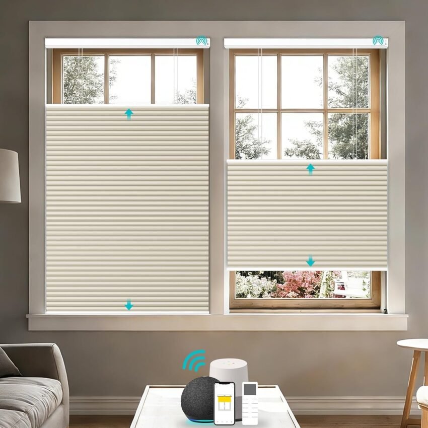 vertical blinds