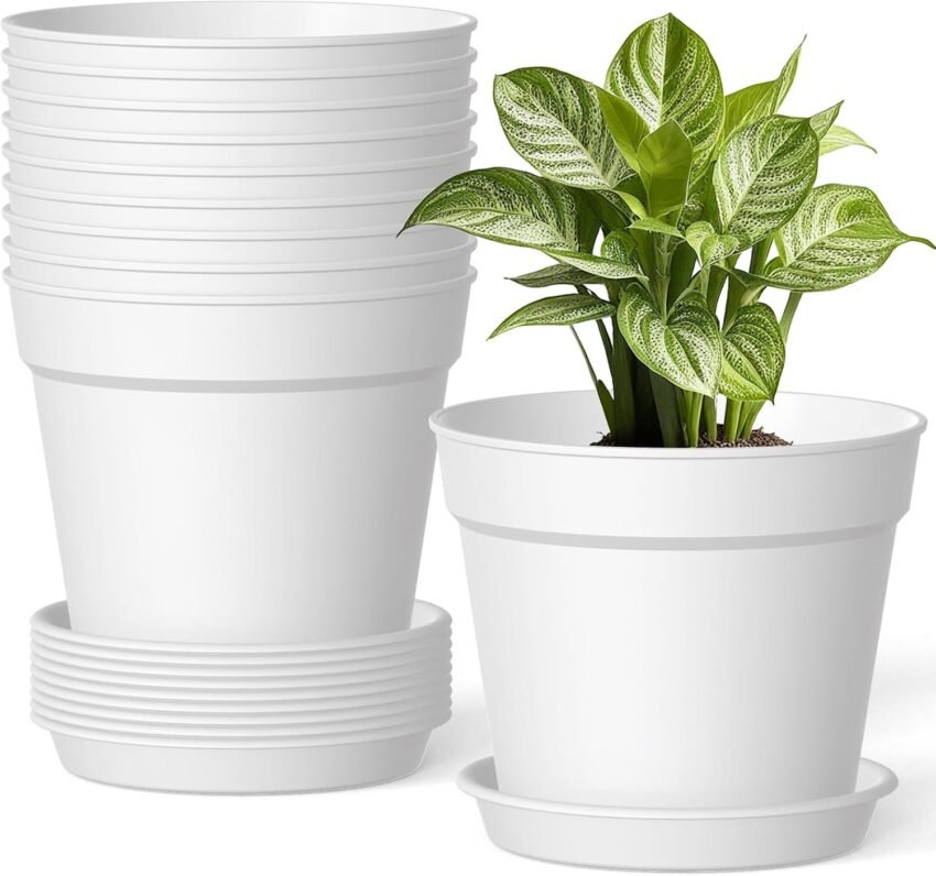 Amazon Basics Plastic Planters