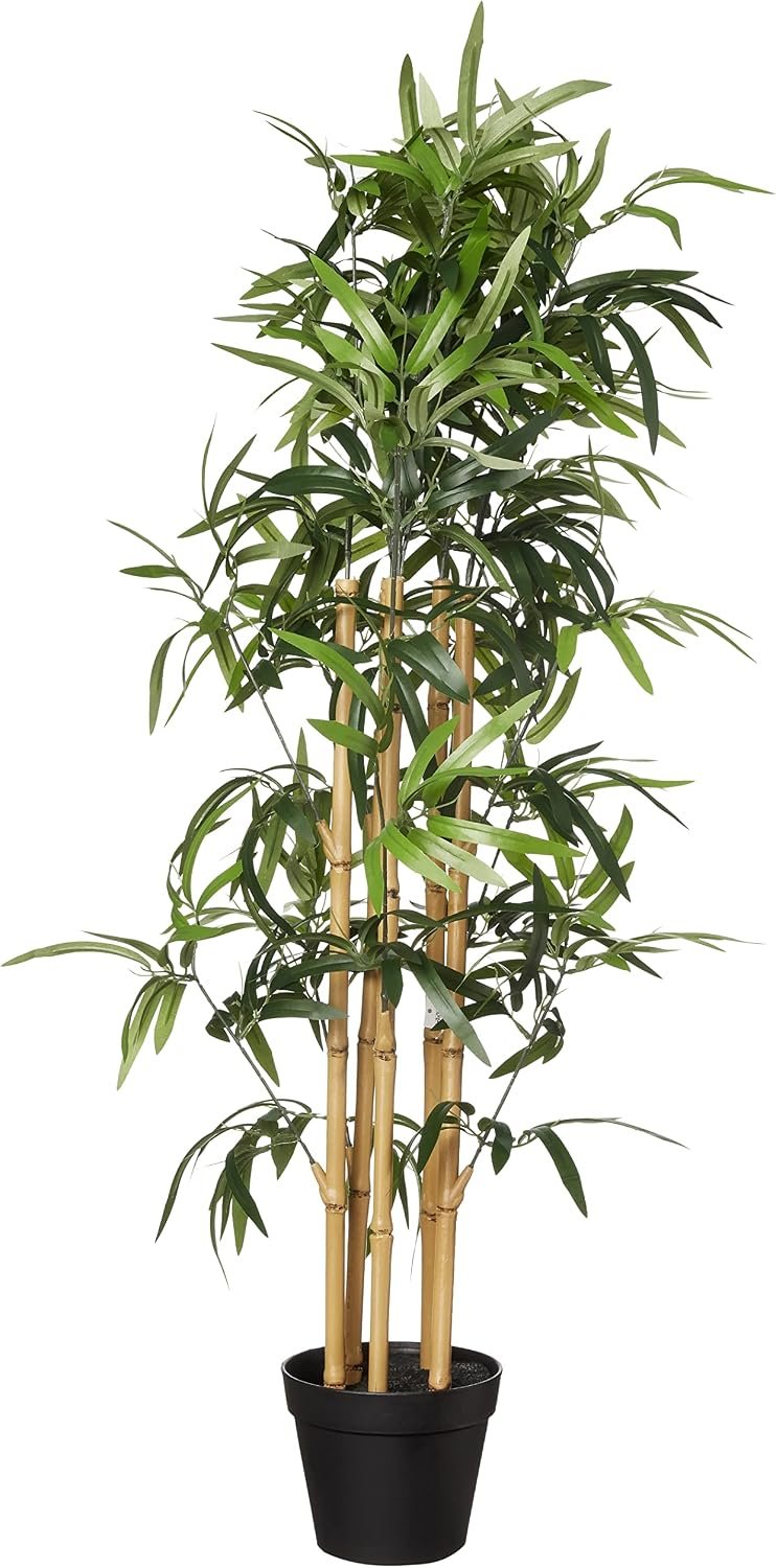 Amazon Basics Plastic Planters