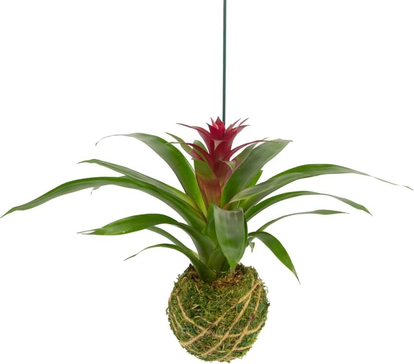 home decor accessories