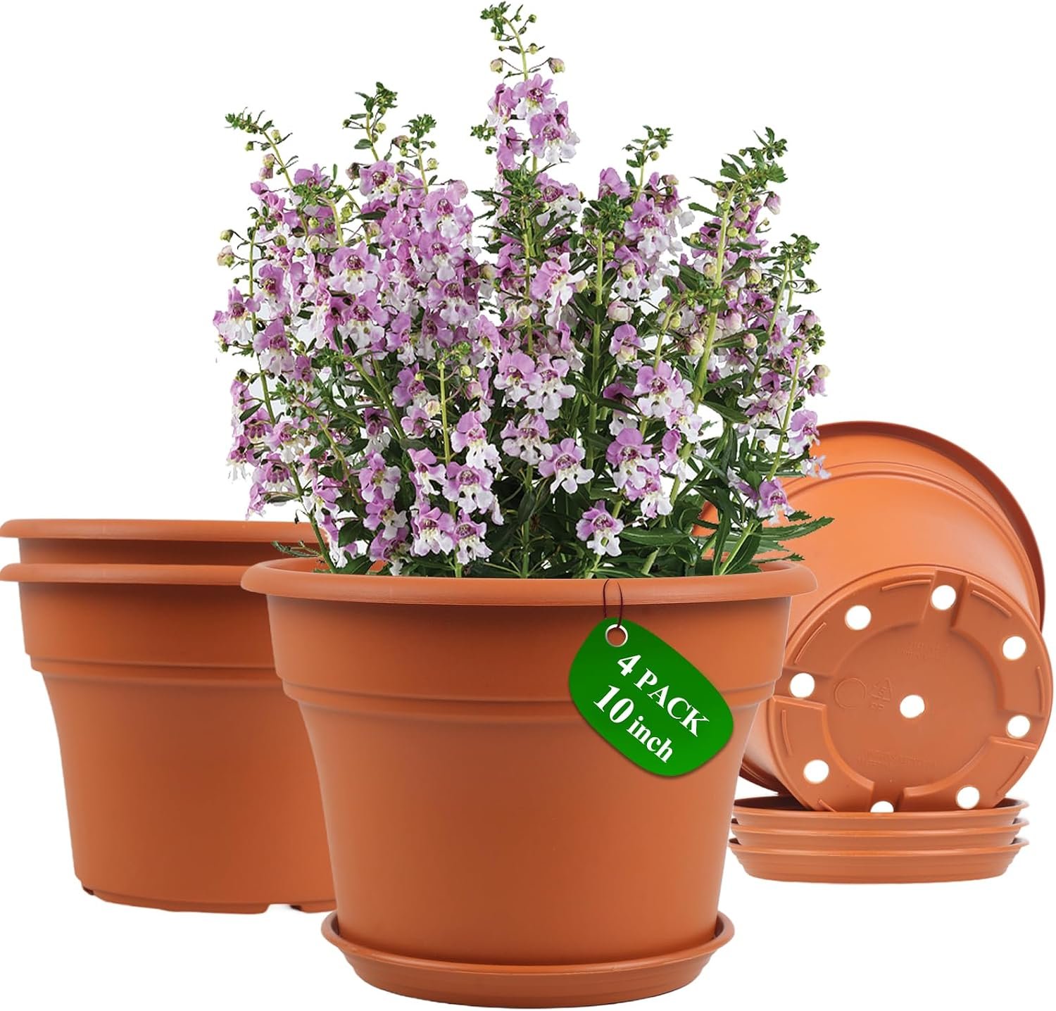 Amazon Basics Plastic Planters