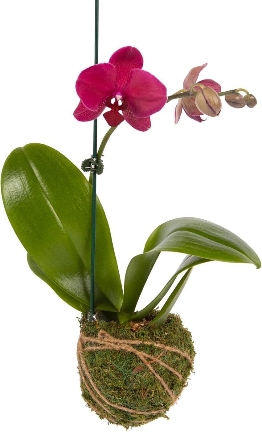 home decor accessories